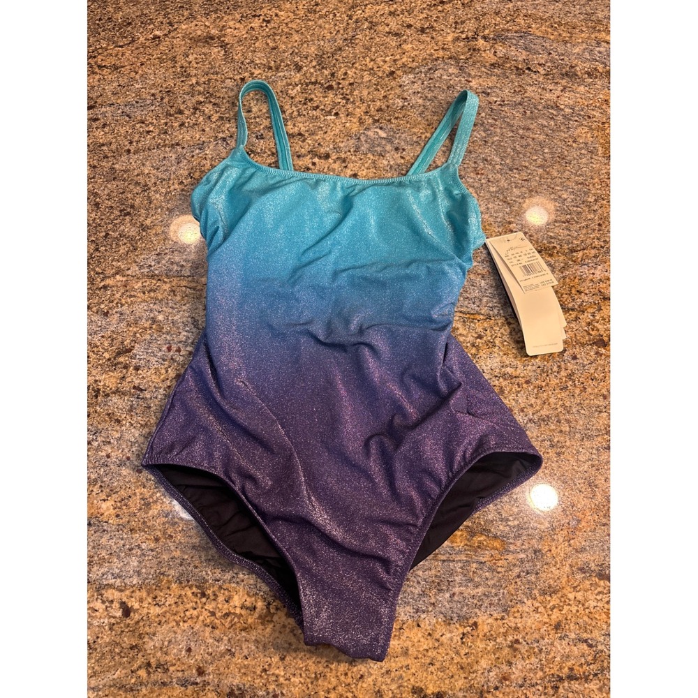 NWT Profile by Gottex Womens Ombre Metallic One Piece Swimsuit Blue Purple D-Cup